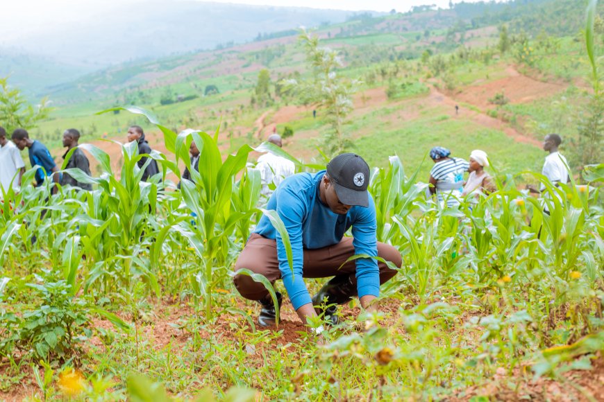 Umuganda 4 Youth Climate Adaptation Day 2024: Empowering Youth for a Sustainable Future.