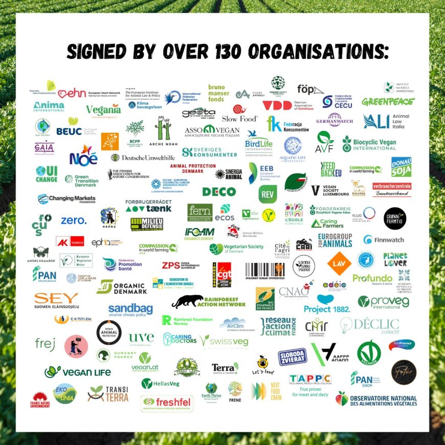 More than 130 Organization United to Urge EU Action on Sustainable Agriculture, Food Safety, and Animal Welfare