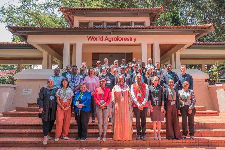 Soil Health and Sustainable Agriculture: Insights from CIFOR-ICRAF and Clim-Eat