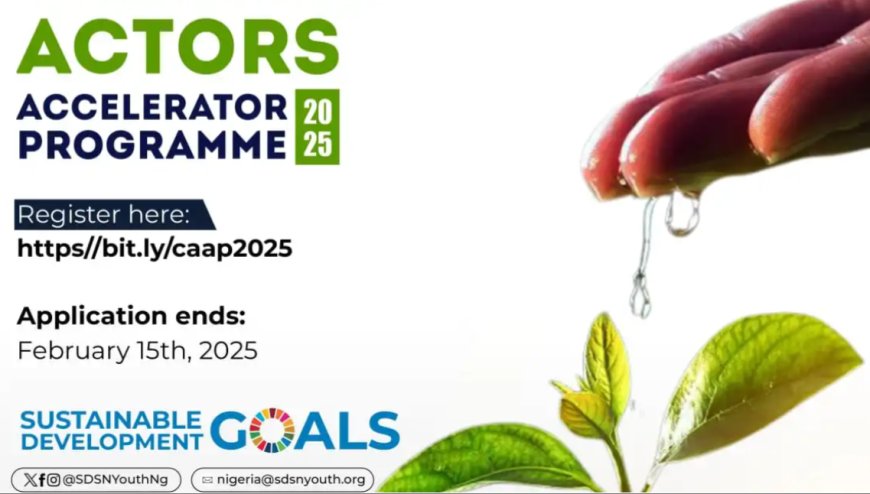 Climate Actors Accelerator Programme (CAAP) 2025: Empowering Young Nigerians for a Net-Zero Future