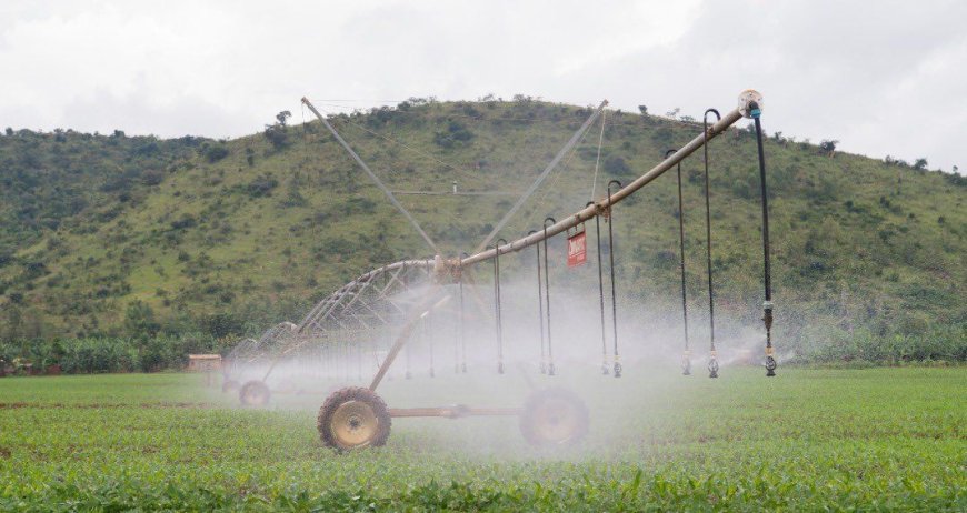 How Rwanda’s $54 Million Nasho Irrigation Project is Revolutionizing Agriculture