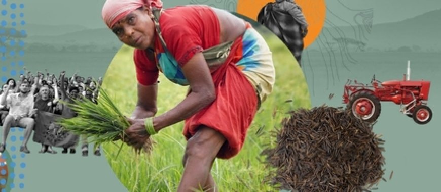 Grassroots Evidence for Agroecology: Launch of the Online Catalogue