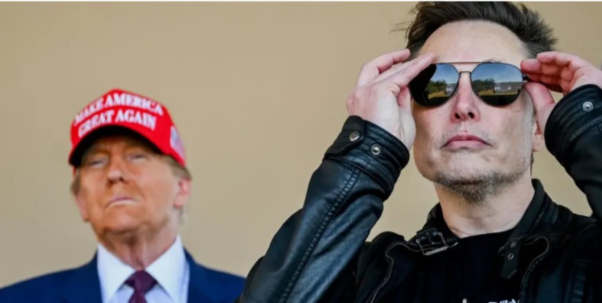 Trump and Musk Team Up: How DOGE Could Reshape US Environmental Policy and Federal Spending