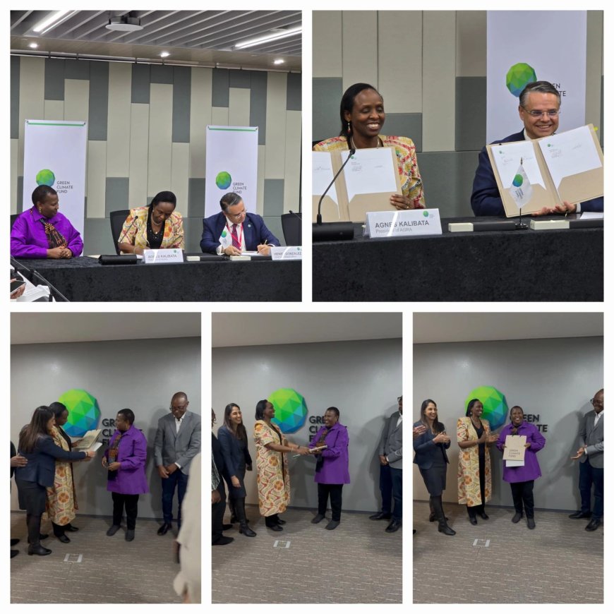 $75 Million GCF Grant to Reduce Postharvest Losses in Africa: A Game-Changer for Climate Resilience and Food Security