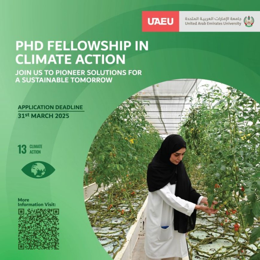 Fully Funded PhD Fellowship in Climate Action at UAEU – Apply Now!