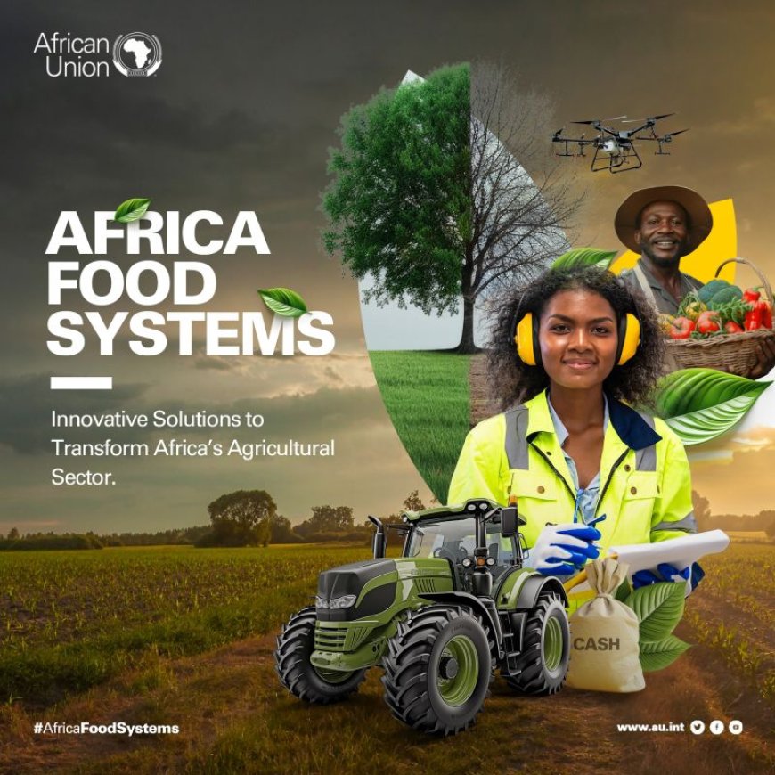Integrative Approaches to Combat Food Insecurity in Africa: Linking Agriculture and Education for Sustainable Growth