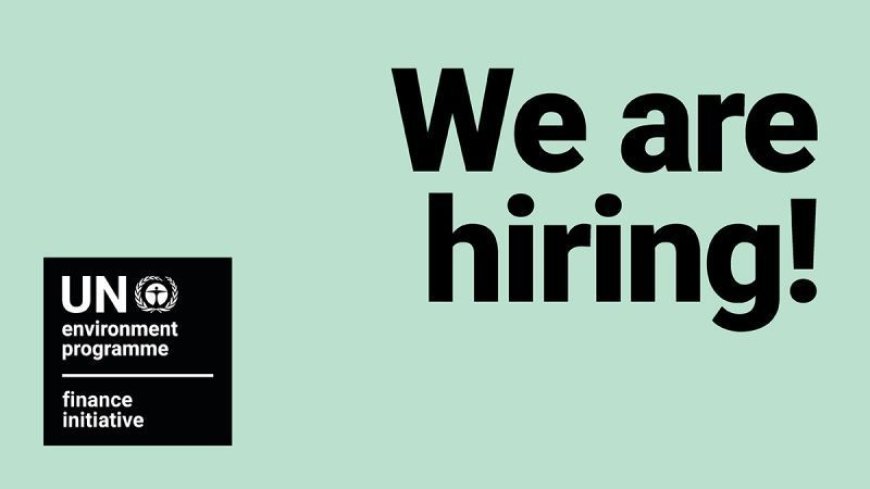 UNEP FI is Hiring: Senior Sustainability and Climate Risk Advisor to Drive Climate-Resilient Finance