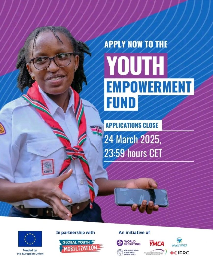 Youth Empowerment Fund: Supporting Young Changemakers to Achieve the SDGs